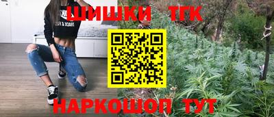 стаф Нарткала